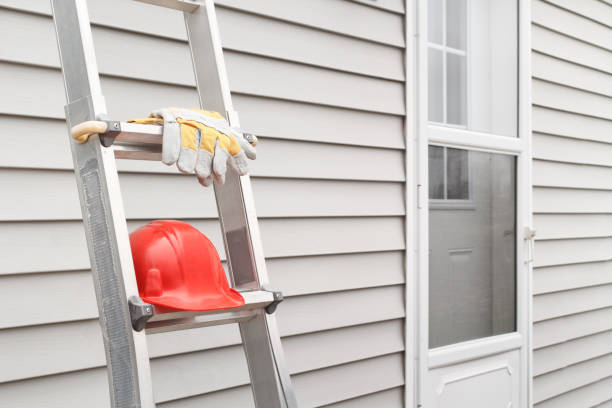 Best Hoarding Cleanup  in Normandy, MO