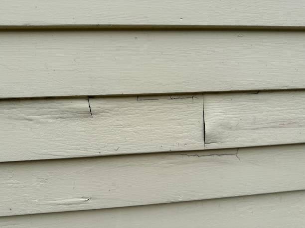 Best Construction Debris Removal  in Normandy, MO